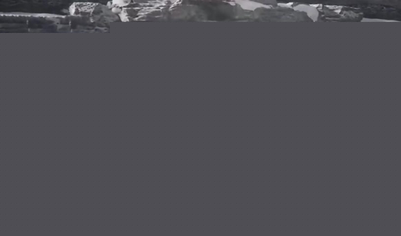 黑神话悟空白狐支线任务攻略