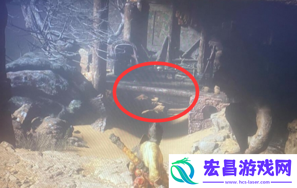 虎先锋隐藏门位置坐标