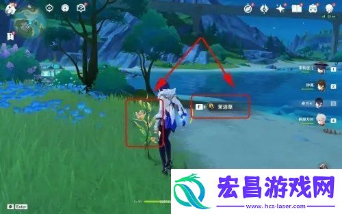 原神茉洁草怎么获得