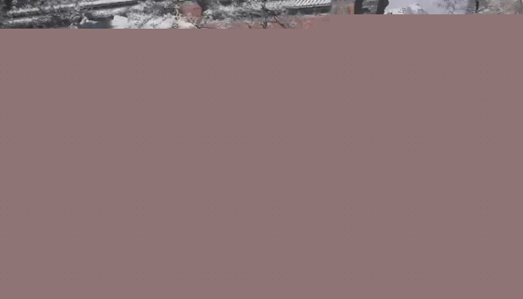 黑神话悟空白狐支线任务攻略