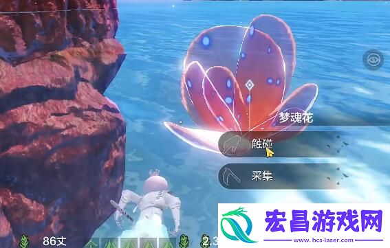 妄想山海南海经指南