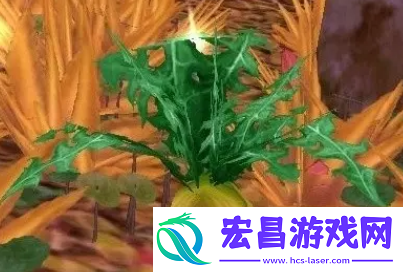 魔兽世界wlk下水道炖肉任务怎么做