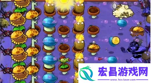 植物大战僵尸杂交版冒险模式第10关怎么过