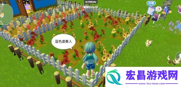 心动小镇虞美人如何杂交