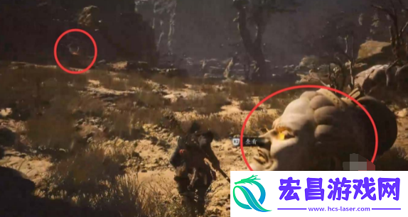 黑神话悟空佛目珠怎么找