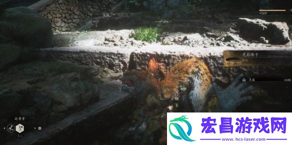 黑神话悟空珍品虎筋绦子获取方法
