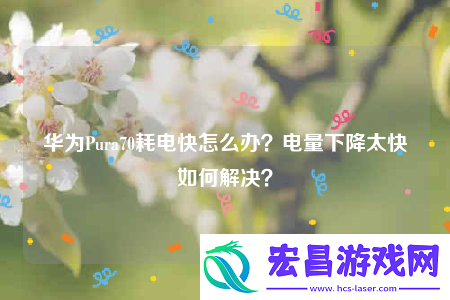 华为Pura70耗电快怎么办