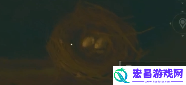 三角洲行动鸟窝位置一览