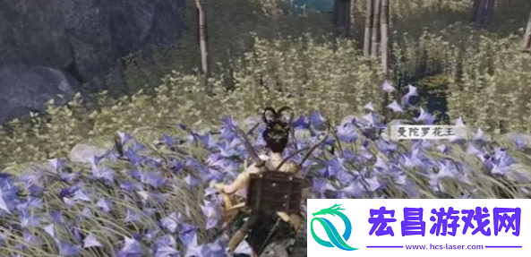 燕云十六声纸人夭奇遇怎么做