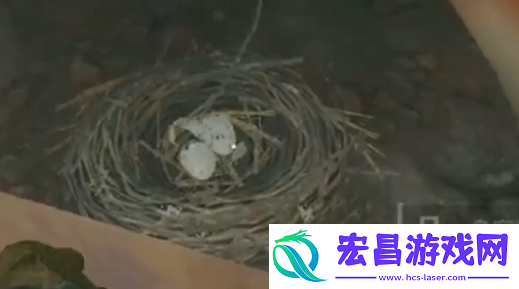 三角洲行动鸟窝位置一览
