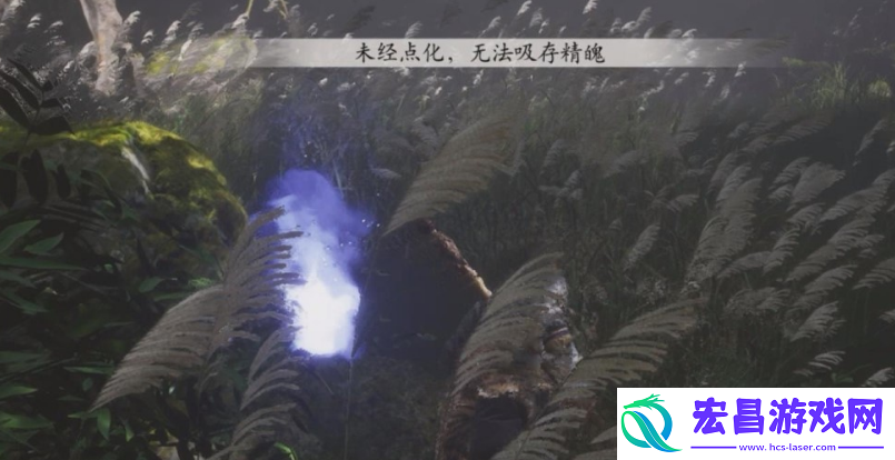 黑神话悟空精魄无法点化怎么办