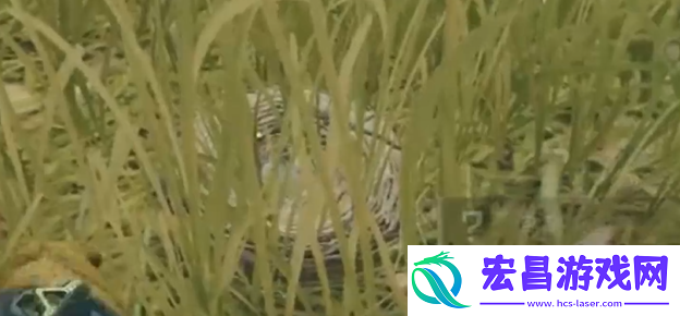 三角洲行动鸟窝位置一览