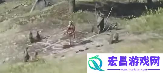 荒野大镖客救赎2隐藏道具全收集攻略