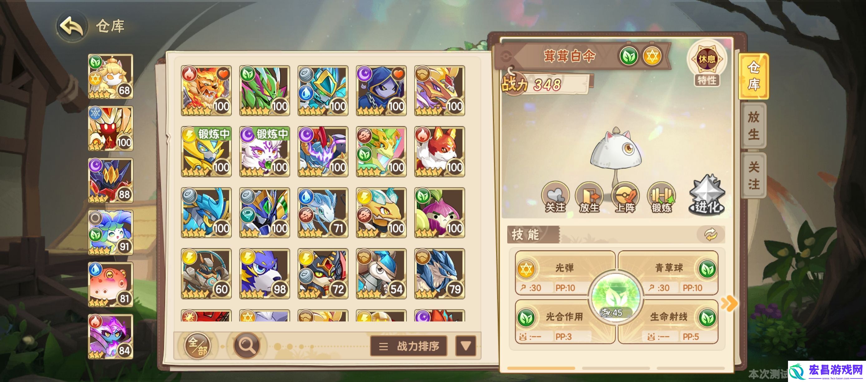 西普大陆萌新怎么开局