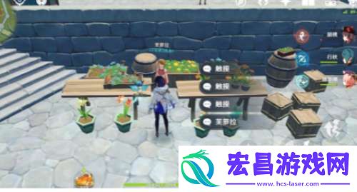 原神塞西莉亚花去哪买