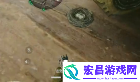 三角洲行动鸟窝位置分布