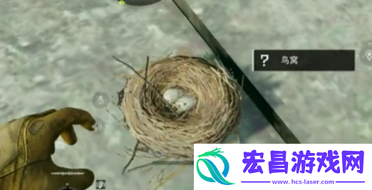 三角洲行动鸟窝位置分布
