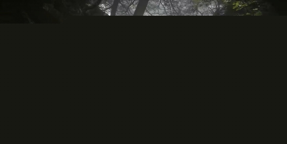 黑神话悟空珍玩猫睛宝串获取方法