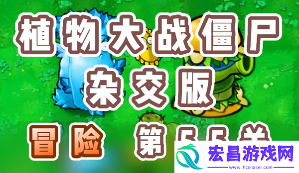 植物大战僵尸杂交版冒险55关怎么过