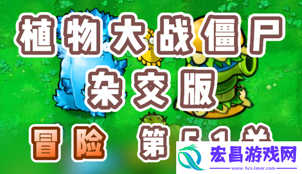 植物大战僵尸杂交版冒险51关怎么过