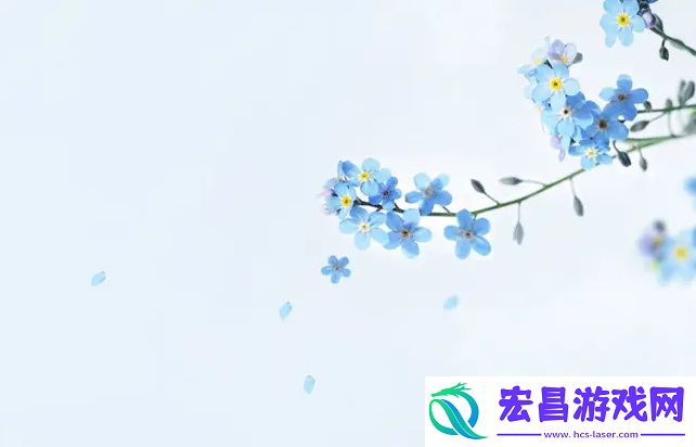 暴躁老姐的csgo心得分享视频