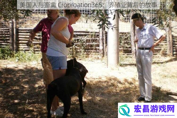 美国人与畜禽