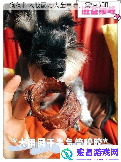 狗狗和人胶配方大全高清