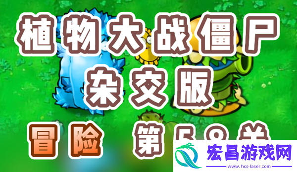 植物大战僵尸杂交版冒险58关怎么过