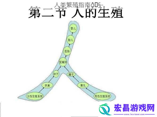 人类繁殖指南