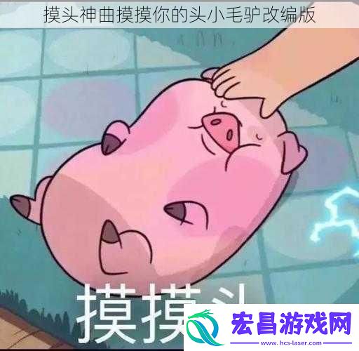摸头神曲摸摸你的头小毛驴改编版