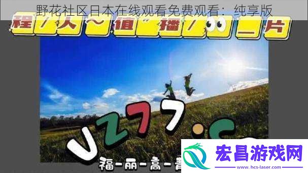 野花社区日本在线观看免费观看