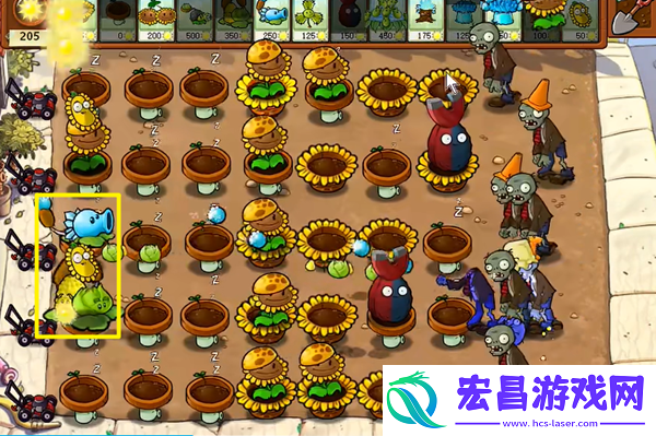 植物大战僵尸杂交版冒险25关怎么过