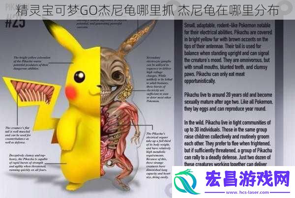 精灵宝可梦GO杰尼龟哪里抓杰尼龟在哪里分布