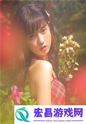 中国高清windows视频软件