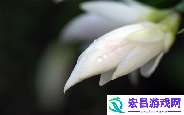乐乐的JIANYING日记阅读中记录了哪些故事