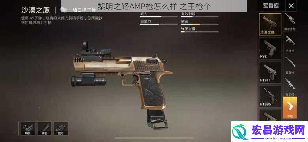 黎明之路AMP枪怎么样