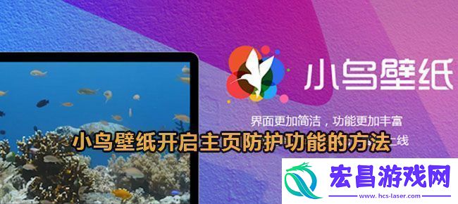 小鸟壁纸开启主页防护功能的方法