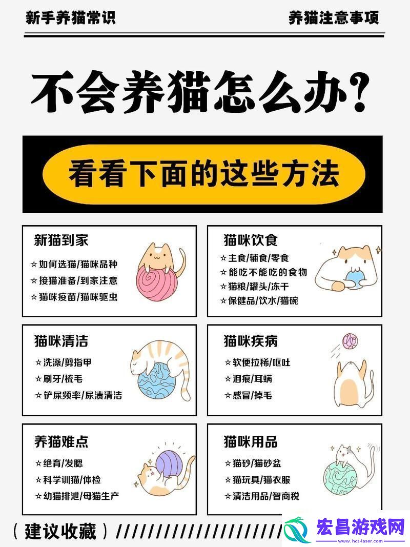 “猫毛不识”五大罪状全民围观的新谜题