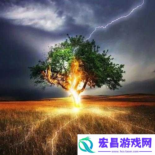 他强而有力的律动