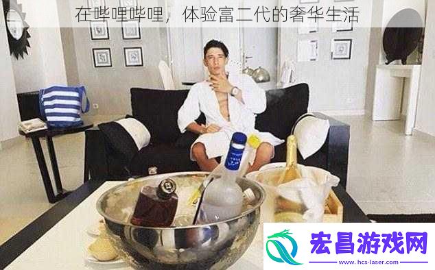 在哔哩哔哩