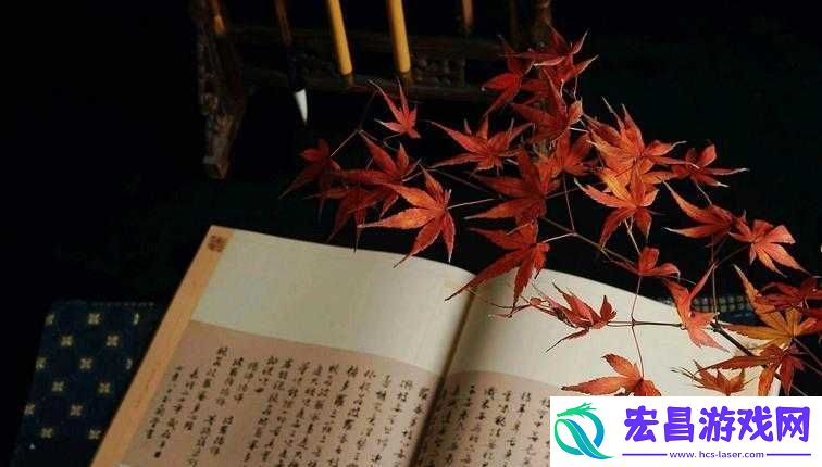 最好看
