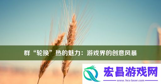 群“轮换”热的魅力