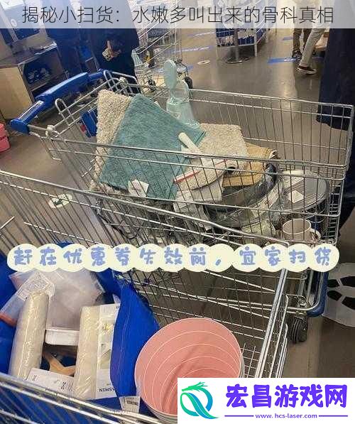 揭秘小扫货