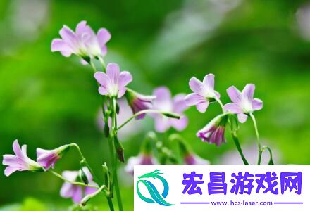 古弥新