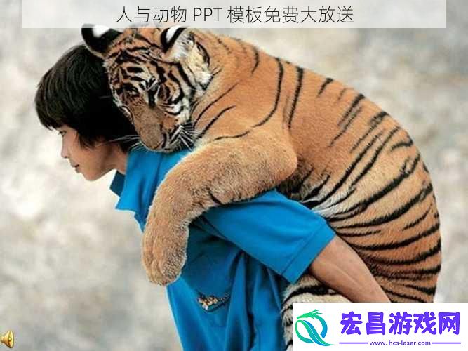 人与动物