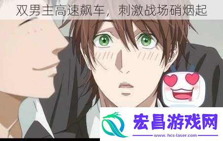 双男主高速飙车