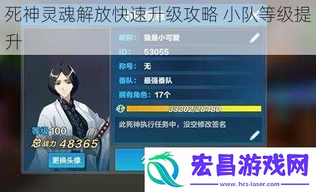 死神灵魂解放快速升级攻略小队等级提升
