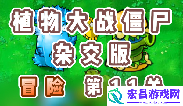 植物大战僵尸杂交版冒险11关怎么过