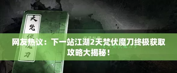 网友热议