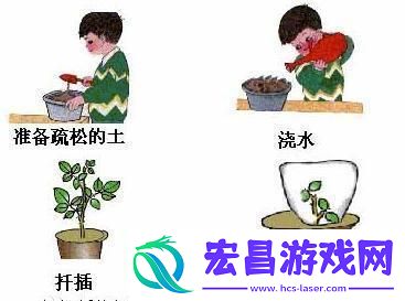 72插秧秘法图鉴